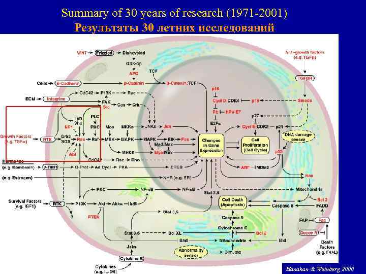 Summary of 30 years of research (1971 -2001) Результаты 30 летних исследований 58 Hanahan