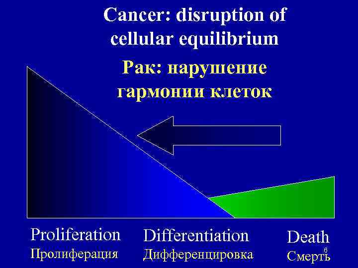 Cancer: disruption of cellular equilibrium Рак: нарушение гармонии клеток Proliferation Differentiation Пролиферация Дифференцировка Death