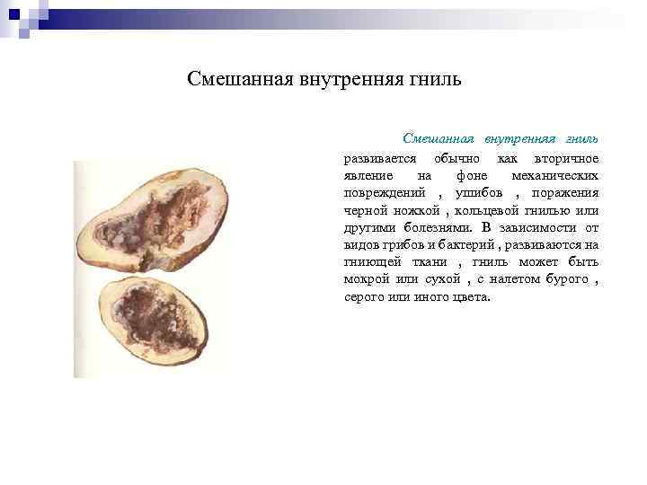 Смешанная внутренняя гниль развивается обычно как вторичное явление на фоне механических повреждений , ушибов
