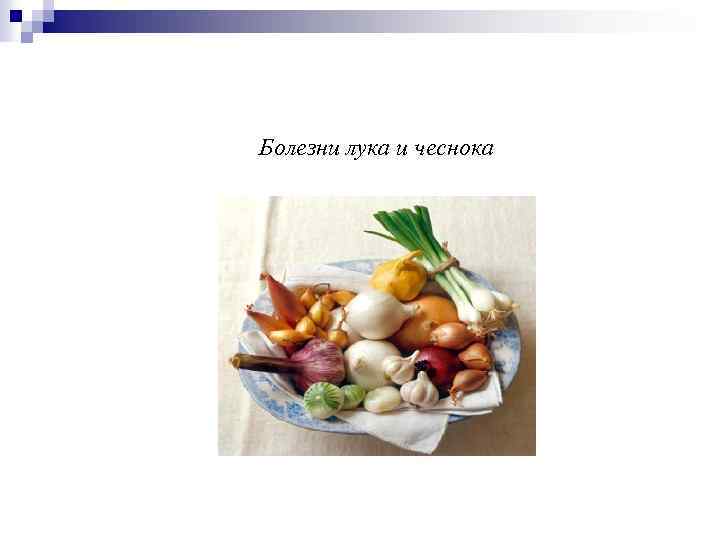 Болезни лука и чеснока 
