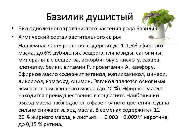 Базилик душистый • Вид однолетнего травянистого растения рода Базилик. • Химический состав растительного сырья