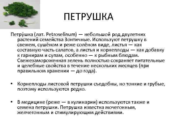 ПЕТРУШКА Петру шка (лат. Petroselínum) — небольшой род двулетних растений семейства Зонтичные. Используют петрушку