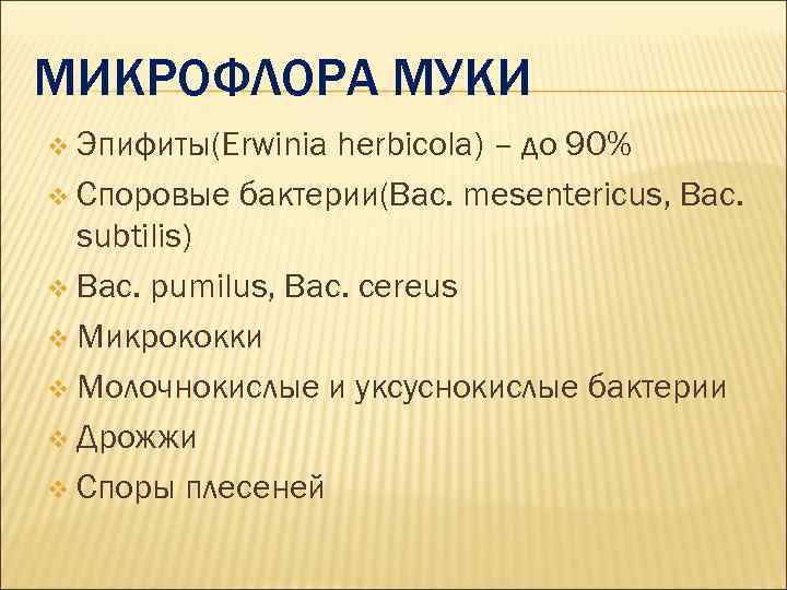 МИКРОФЛОРА МУКИ v Эпифиты(Erwinia herbicola) – до 90% v Споровые бактерии(Bac. mesentericus, Bac. subtilis)