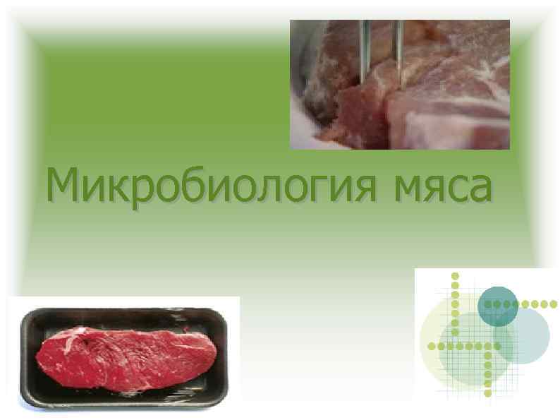 Микробиология мяса 