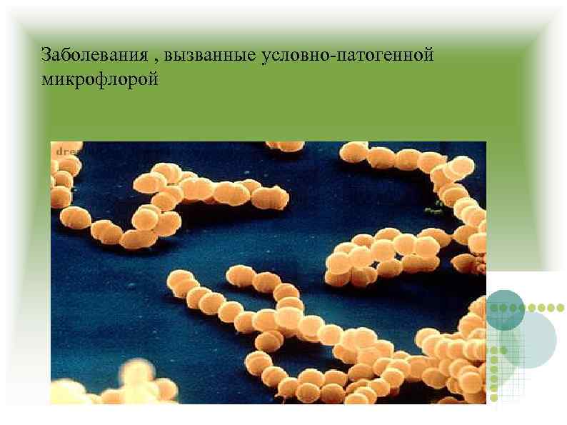 Заболевания , вызванные условно-патогенной микрофлорой 