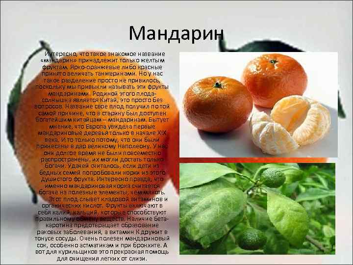 Чем полезны мандарины