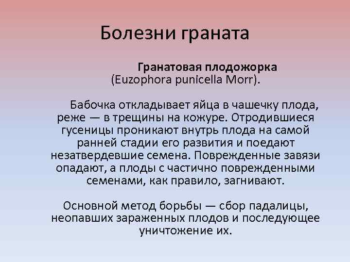 Болезни граната Гранатовая плодожорка (Euzophora punicella Morr). Бабочка откладывает яйца в чашечку плода, реже