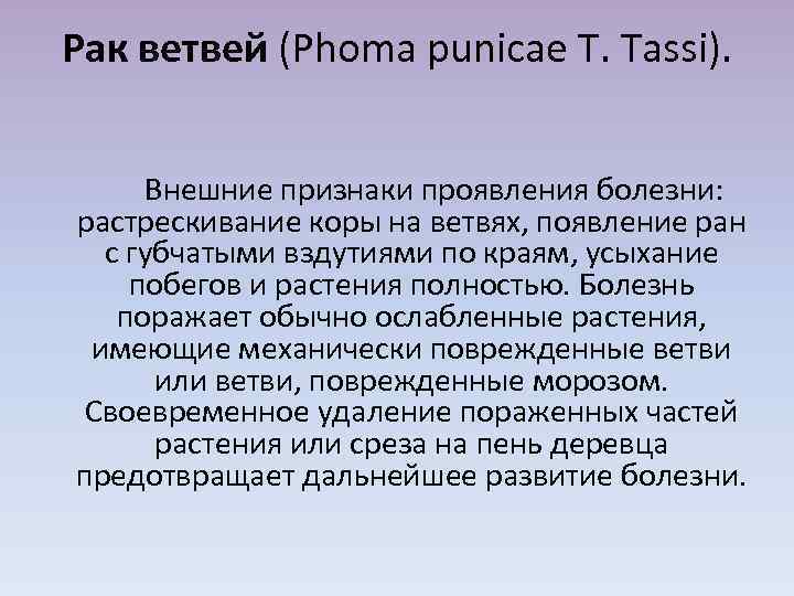 Рак ветвей (Phoma punicae T. Tassi). Внешние признаки проявления болезни: растрескивание коры на ветвях,