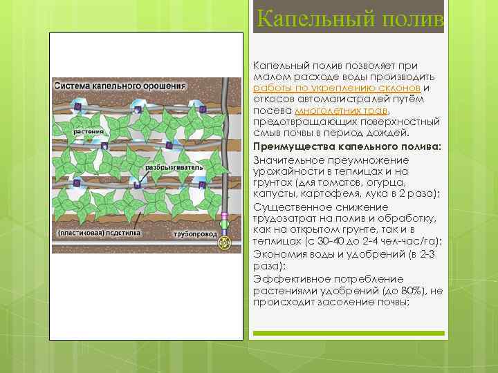 Капельный полив позволяет при малом расходе воды производить работы по укреплению склонов и откосов