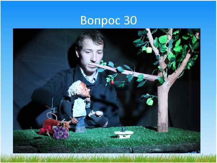 Вопрос 30 