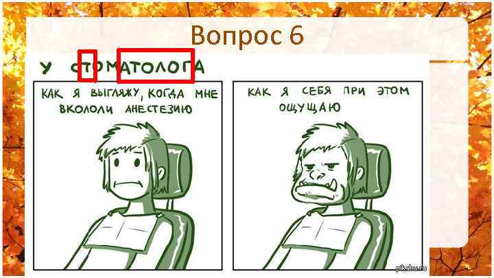 Вопрос 6 