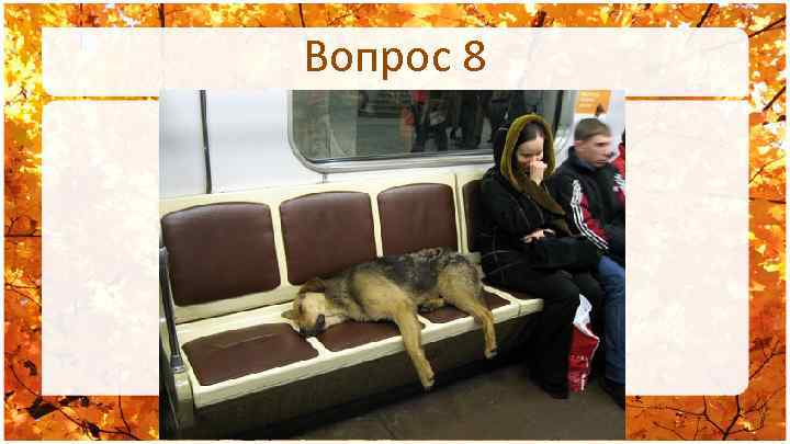 Вопрос 8 