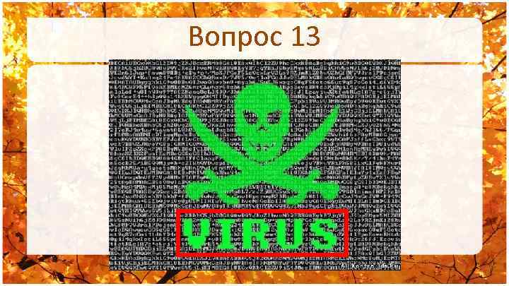 Вопрос 13 