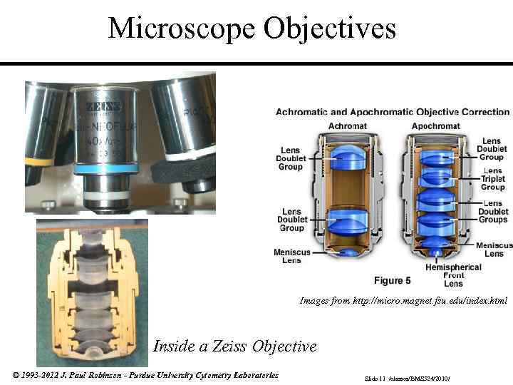 Microscope Objectives Images from http: //micro. magnet. fsu. edu/index. html Inside a Zeiss Objective