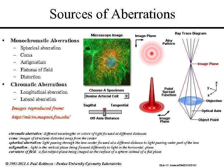 Sources of Aberrations • Monochromatic Aberrations – – – • Spherical aberration Coma Astigmatism