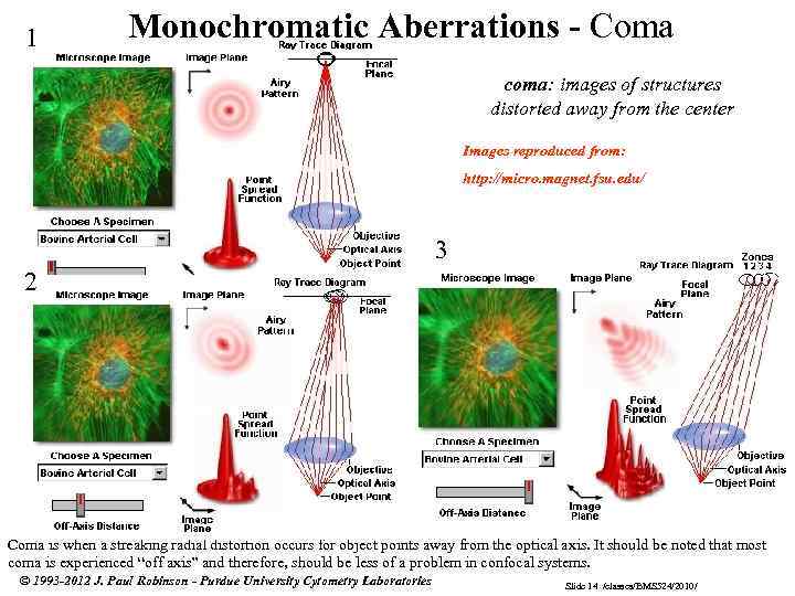 1 Monochromatic Aberrations - Coma coma: images of structures distorted away from the center