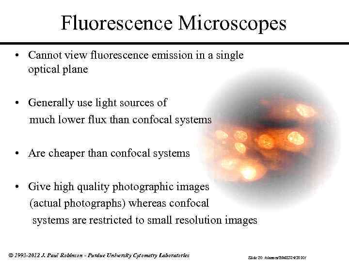 Fluorescence Microscopes • Cannot view fluorescence emission in a single optical plane • Generally