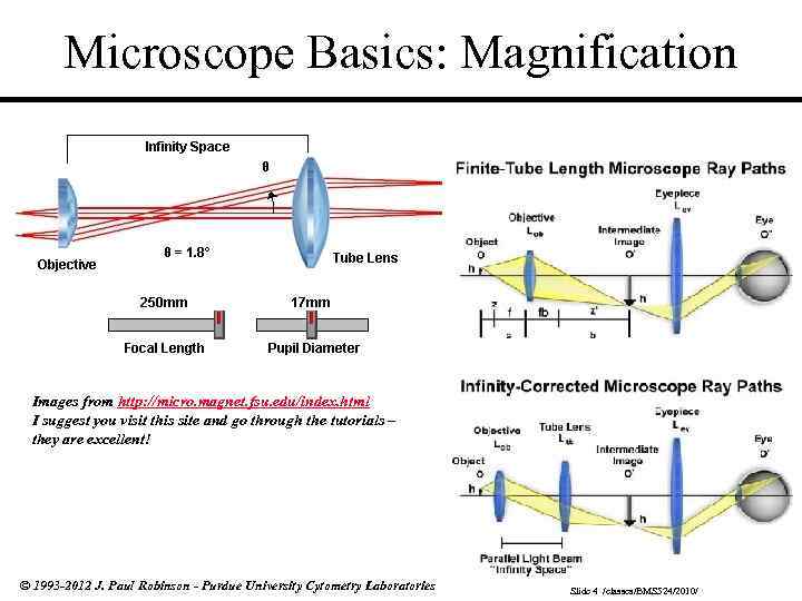 Microscope Basics: Magnification Images from http: //micro. magnet. fsu. edu/index. html I suggest you