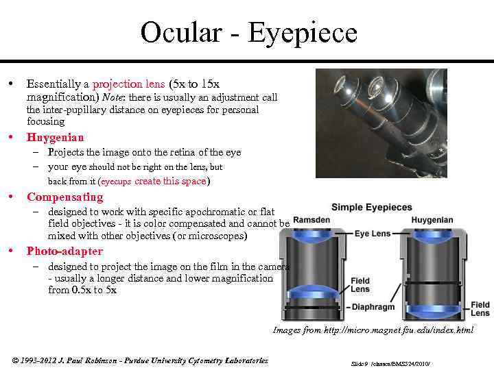 Ocular - Eyepiece • Essentially a projection lens (5 x to 15 x magnification)