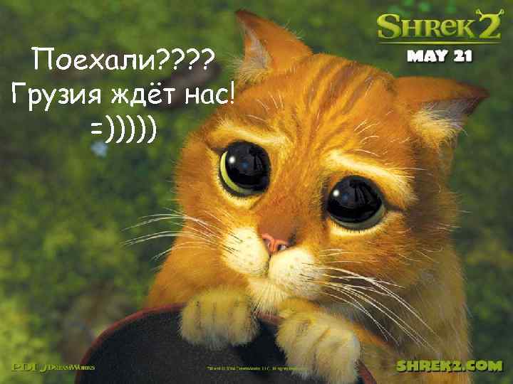 Поехали? ? Грузия ждёт нас! =))))) 