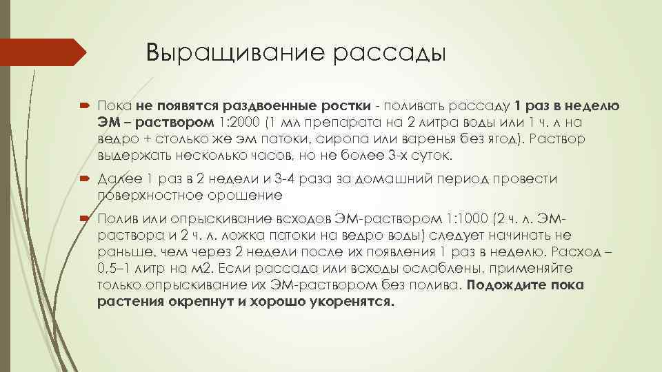 Выращивание рассады Пока не появятся раздвоенные ростки - поливать рассаду 1 раз в неделю