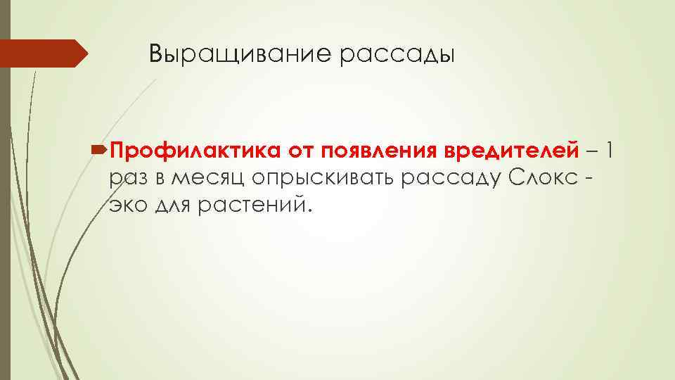 Выращивание рассады Профилактика от появления вредителей – 1 раз в месяц опрыскивать рассаду Слокс