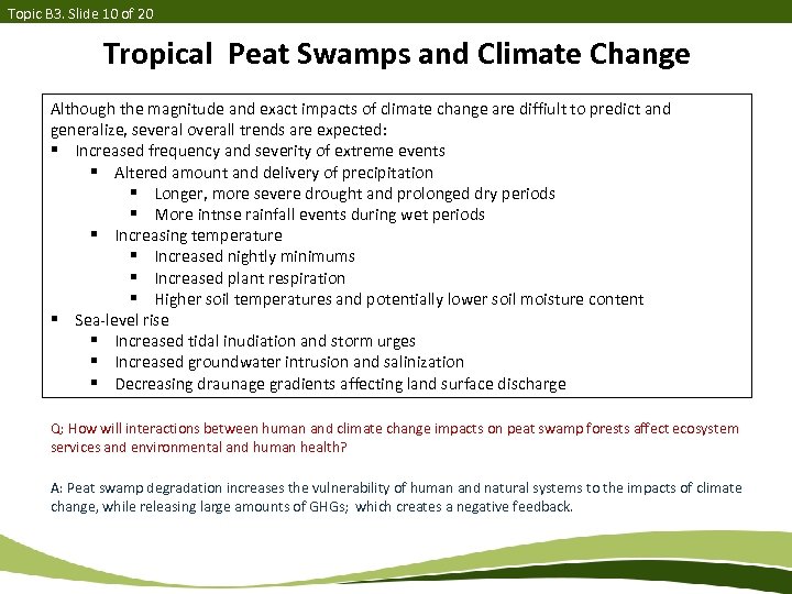 Topic B 3. Slide 10 of 20 Tropical Peat Swamps and Climate Change Although