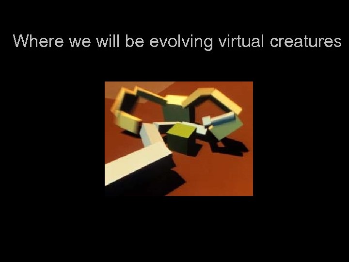 Where we will be evolving virtual creatures 