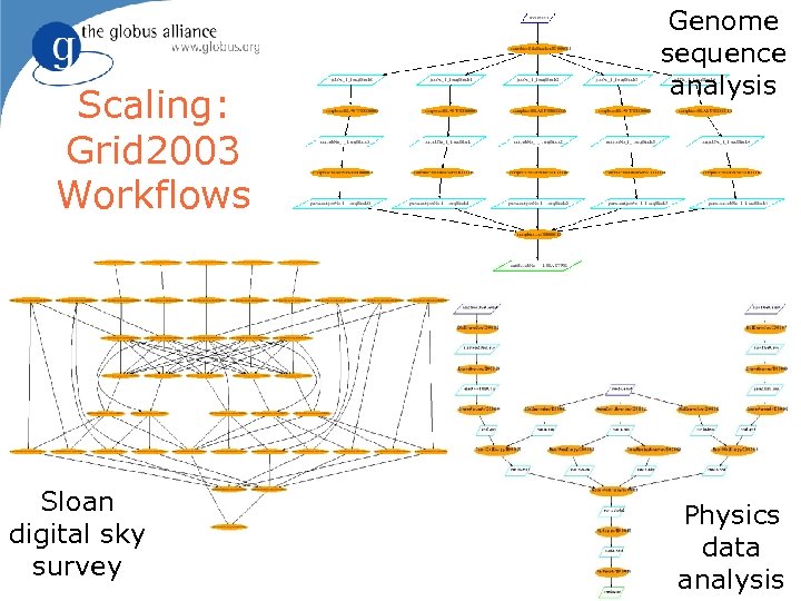 Scaling: Grid 2003 Workflows Sloan digital sky survey 12 Genome sequence analysis Physics data