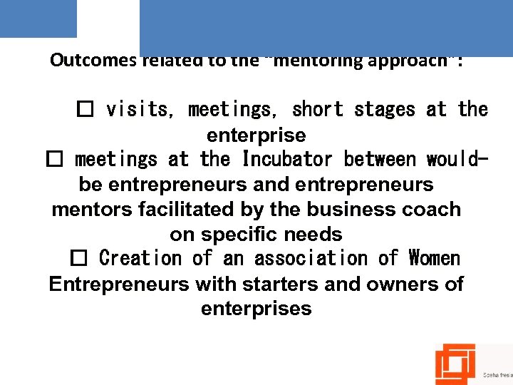 Outcomes related to the “mentoring approach”: visits, meetings, short stages at the enterprise meetings