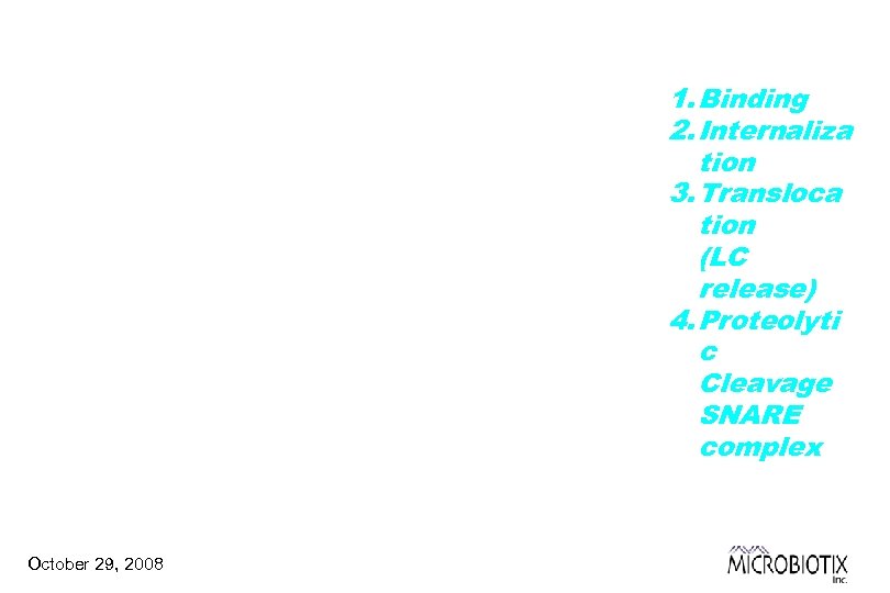 1. Binding 2. Internaliza tion 3. Transloca tion (LC release) 4. Proteolyti c Cleavage