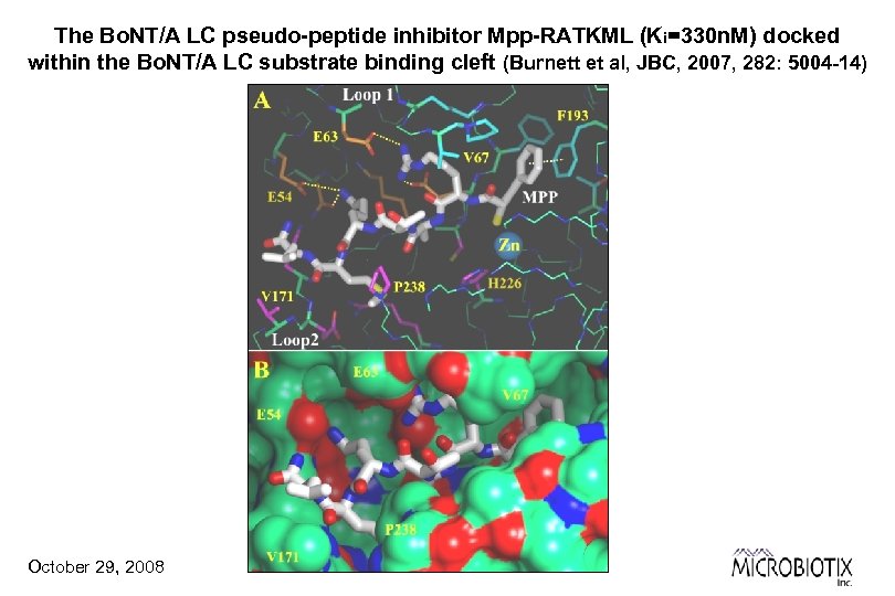 The Bo. NT/A LC pseudo-peptide inhibitor Mpp-RATKML (Ki=330 n. M) docked within the Bo.