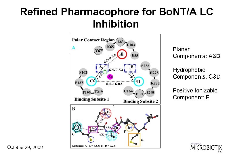 Refined Pharmacophore for Bo. NT/A LC Inhibition A Planar Components: A&B Hydrophobic Components: C&D