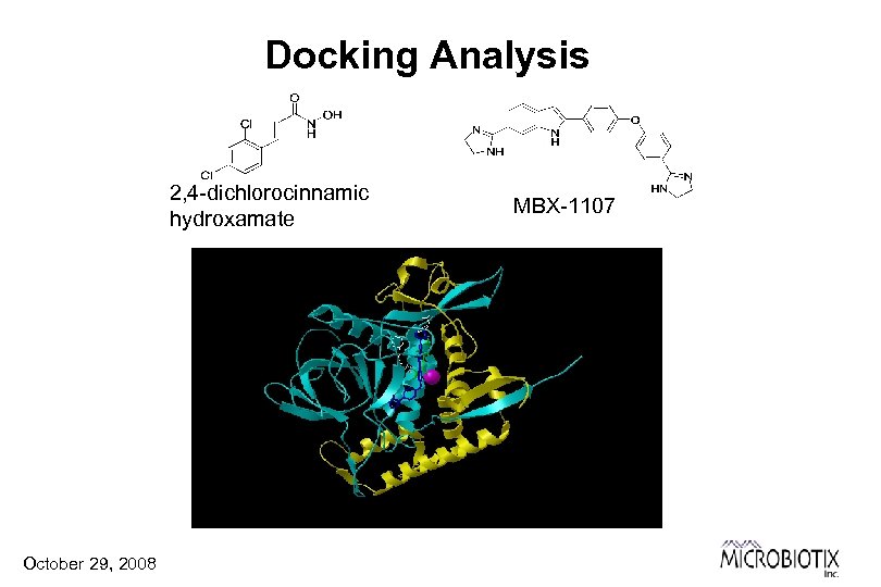 Docking Analysis 2, 4 -dichlorocinnamic hydroxamate October 29, 2008 MBX-1107 