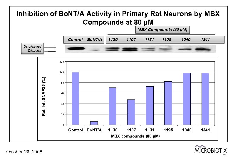 Inhibition of Bo. NT/A Activity in Primary Rat Neurons by MBX Compounds at 80