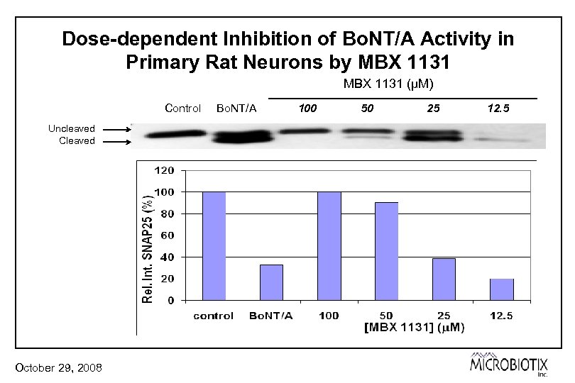 Dose-dependent Inhibition of Bo. NT/A Activity in Primary Rat Neurons by MBX 1131 (µM)