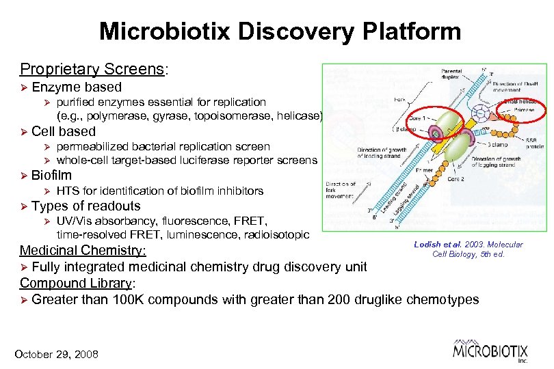 Microbiotix Discovery Platform Proprietary Screens: Ø Enzyme based Ø Ø Cell based Ø Ø