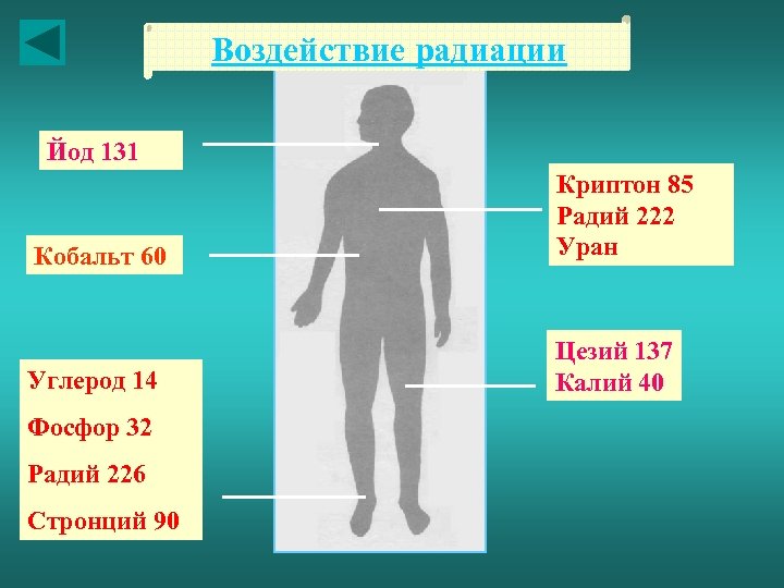 Воздействие радиации Йод 131 Кобальт 60 Криптон 85 Радий 222 Уран Углерод 14 Цезий