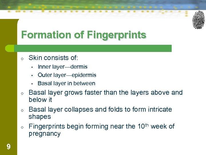 Formation of Fingerprints o Skin consists of: • • • o o o 9