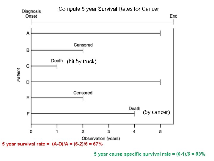 Compute 5 year Survival Rates for Cancer (hit by truck) (by cancer) 5 year