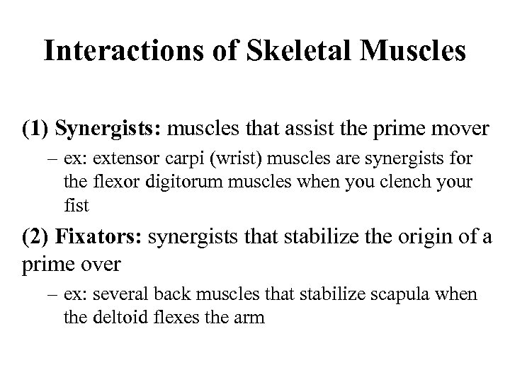 Interactions of Skeletal Muscles (1) Synergists: muscles that assist the prime mover – ex: