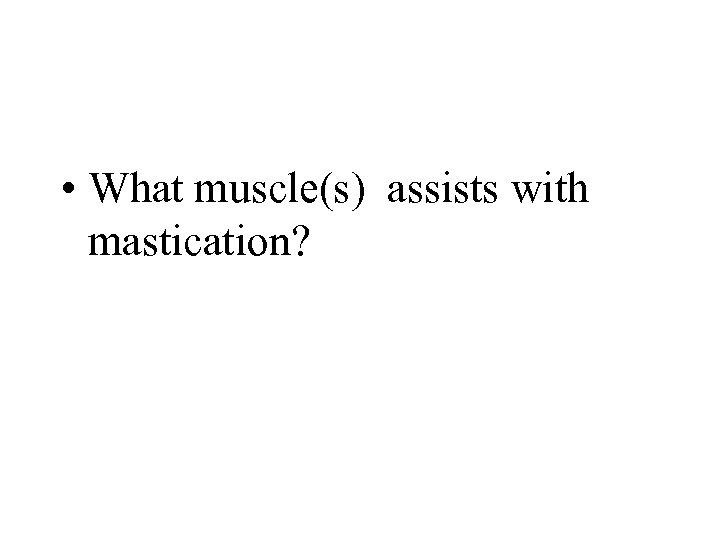  • What muscle(s) assists with mastication? 