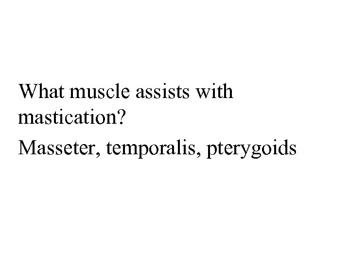 What muscle assists with mastication? Masseter, temporalis, pterygoids 