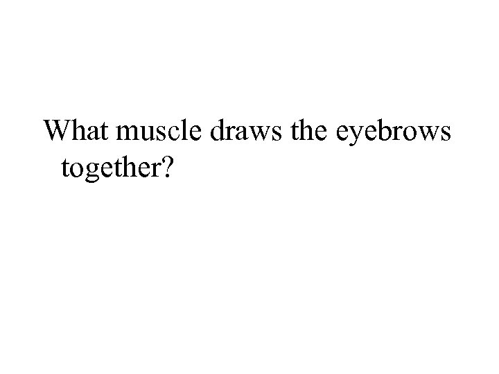 What muscle draws the eyebrows together? 