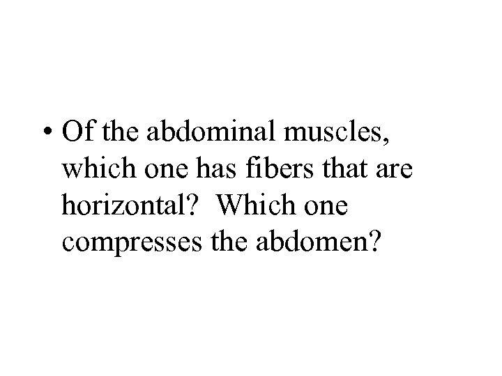  • Of the abdominal muscles, which one has fibers that are horizontal? Which