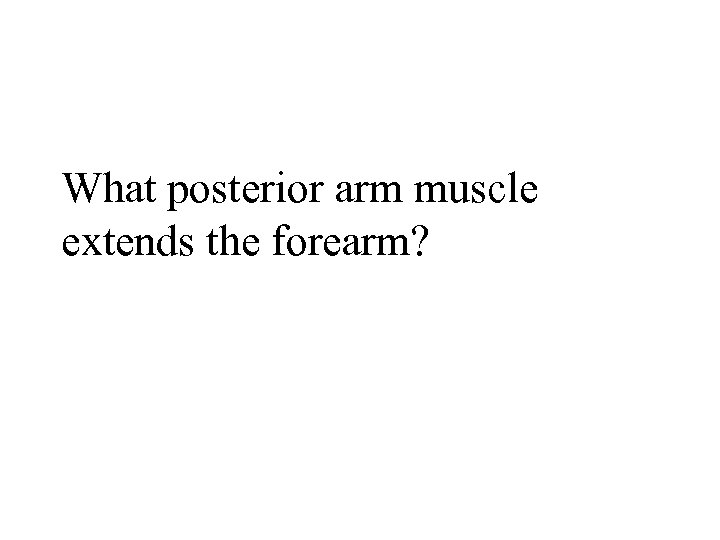 What posterior arm muscle extends the forearm? 