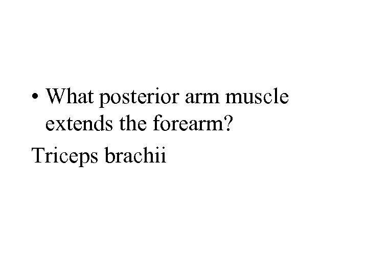  • What posterior arm muscle extends the forearm? Triceps brachii 