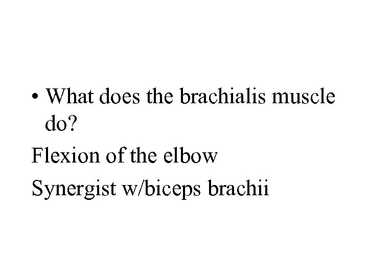  • What does the brachialis muscle do? Flexion of the elbow Synergist w/biceps