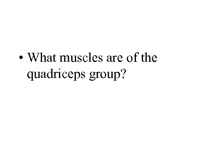  • What muscles are of the quadriceps group? 