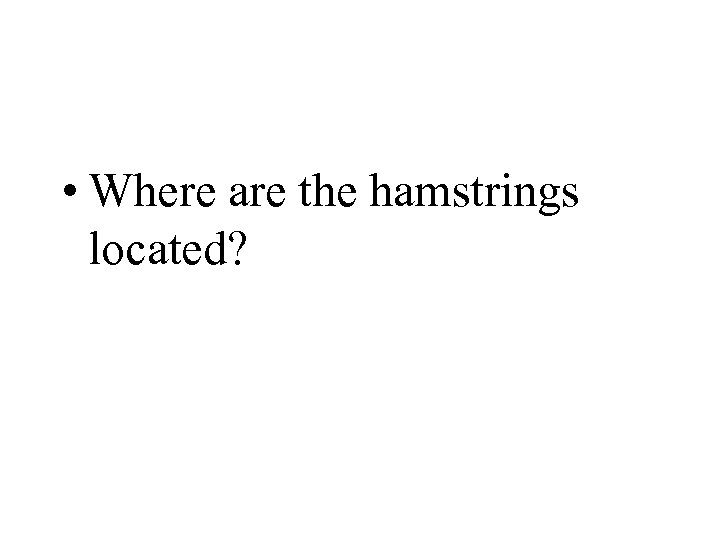  • Where are the hamstrings located? 